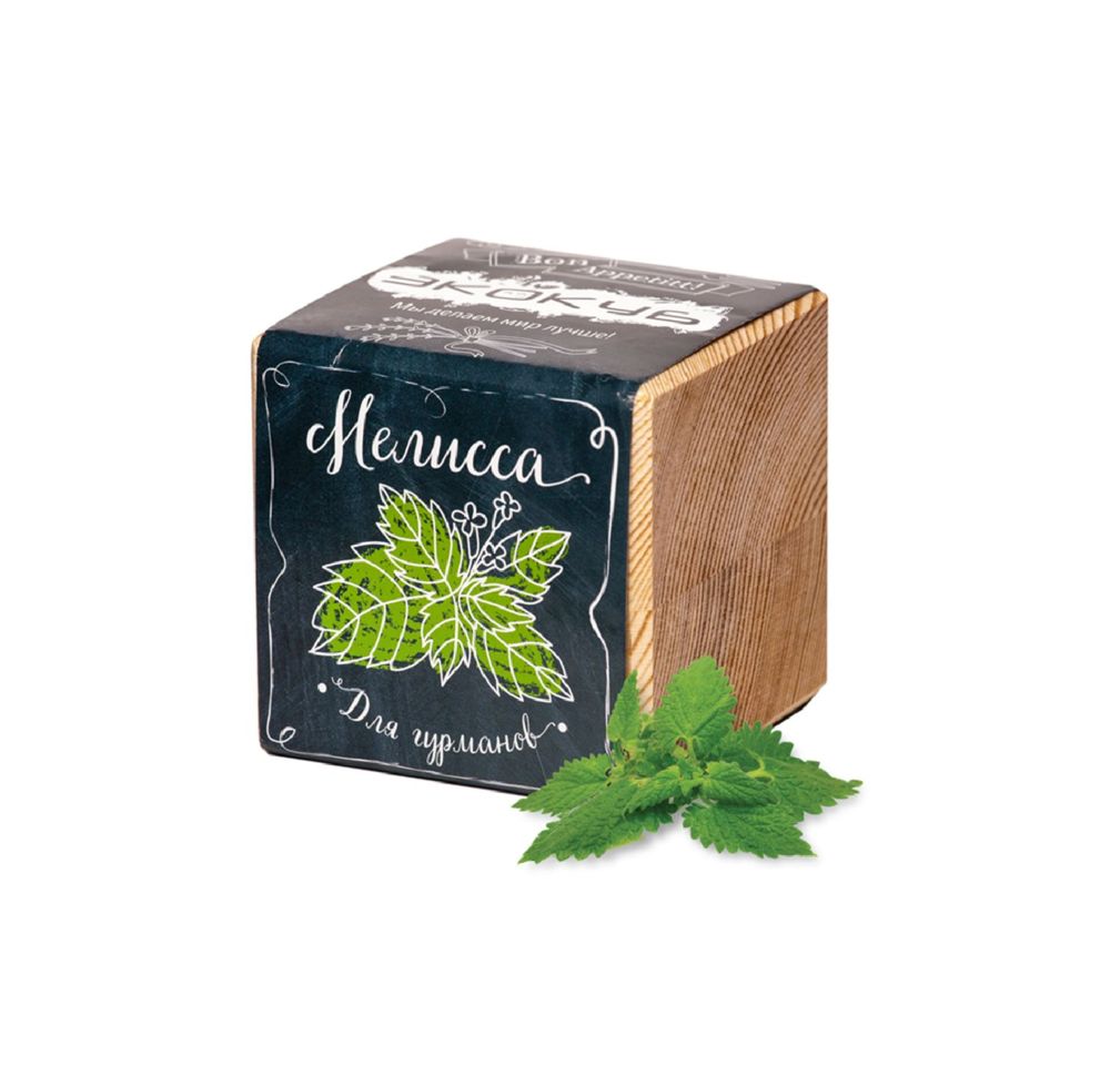 Набор для выращивания «Экокуб» с логотипом сделано в России | Print Logo