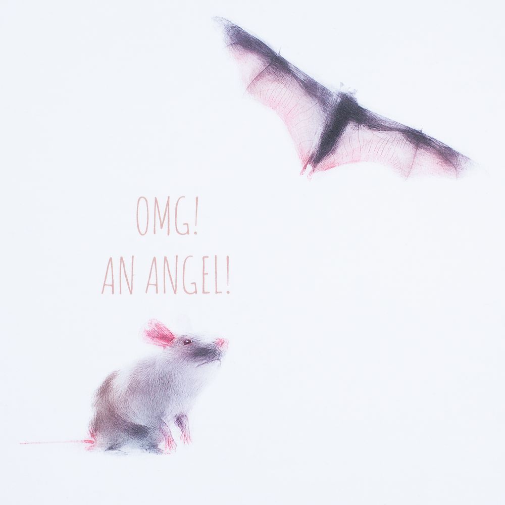 Футболка женская An Angel — пример нанесения логотипа (Соль) | Print Logo