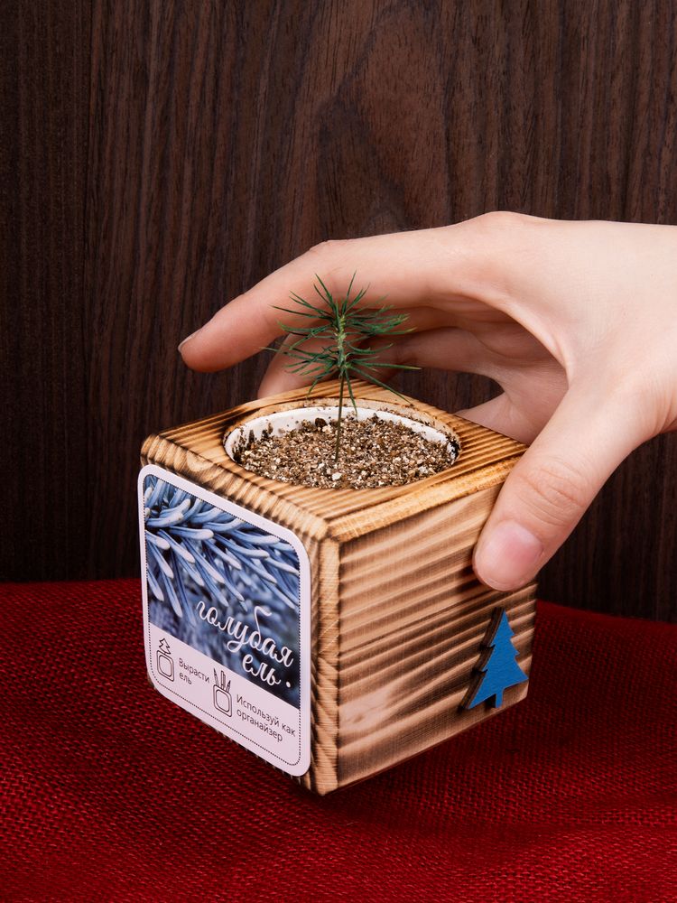 Набор для выращивания с органайзером «Экокуб Burn»