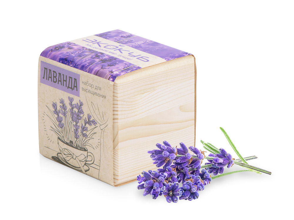 Набор для выращивания Лаванда с логотипом  | Print Logo