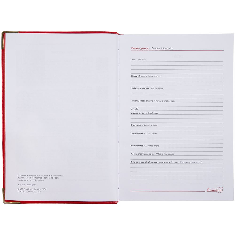 Ежедневник Lugo, датированный