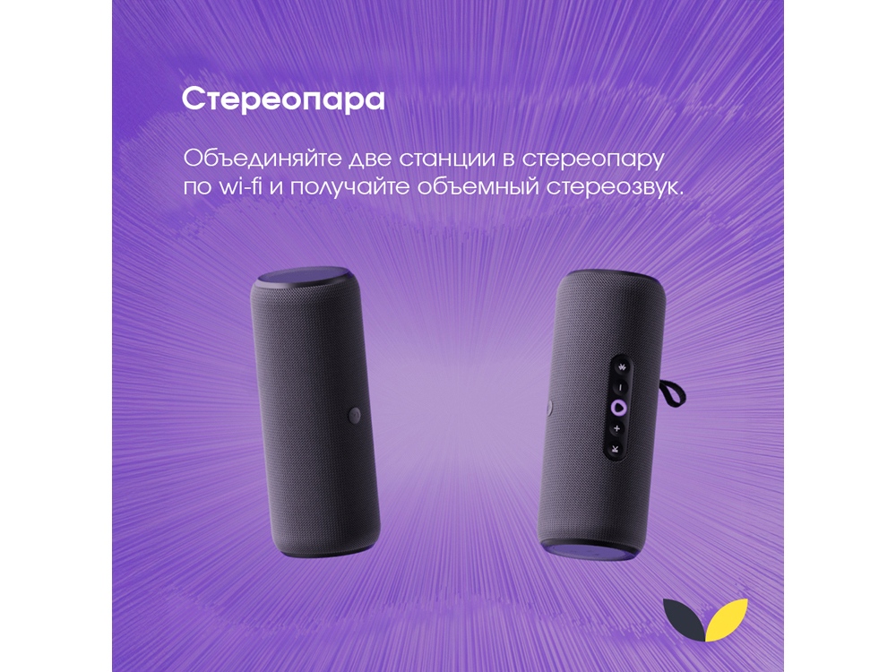 Умная портативная колонка Яндекс Станция Стрит с Алисой, черный (YNDX-00030BLK)