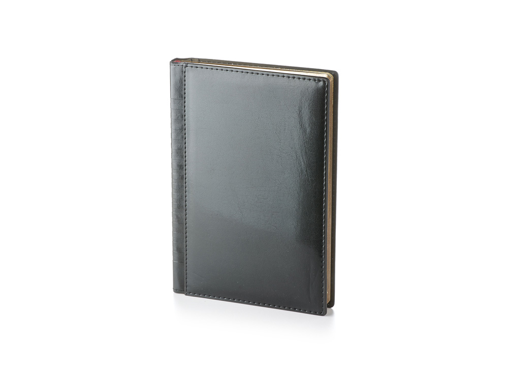 Ежедневник недатированный A5 Image с логотипом Bruno Visconti | Print Logo