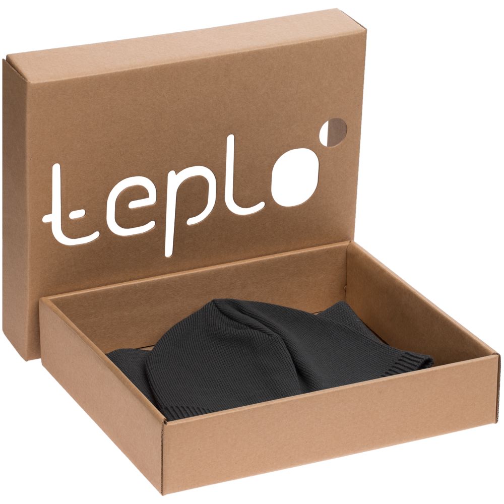 Набор Siver с логотипом teplo | Print Logo