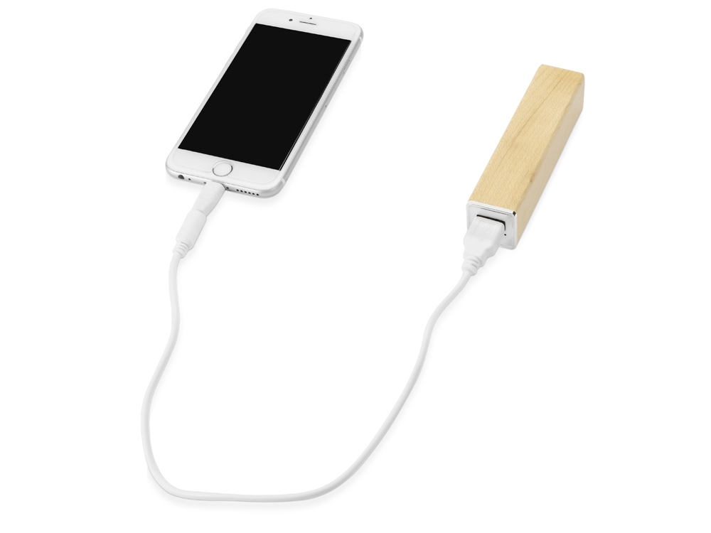 Портативное зарядное устройство Вуди, 2600 mAh