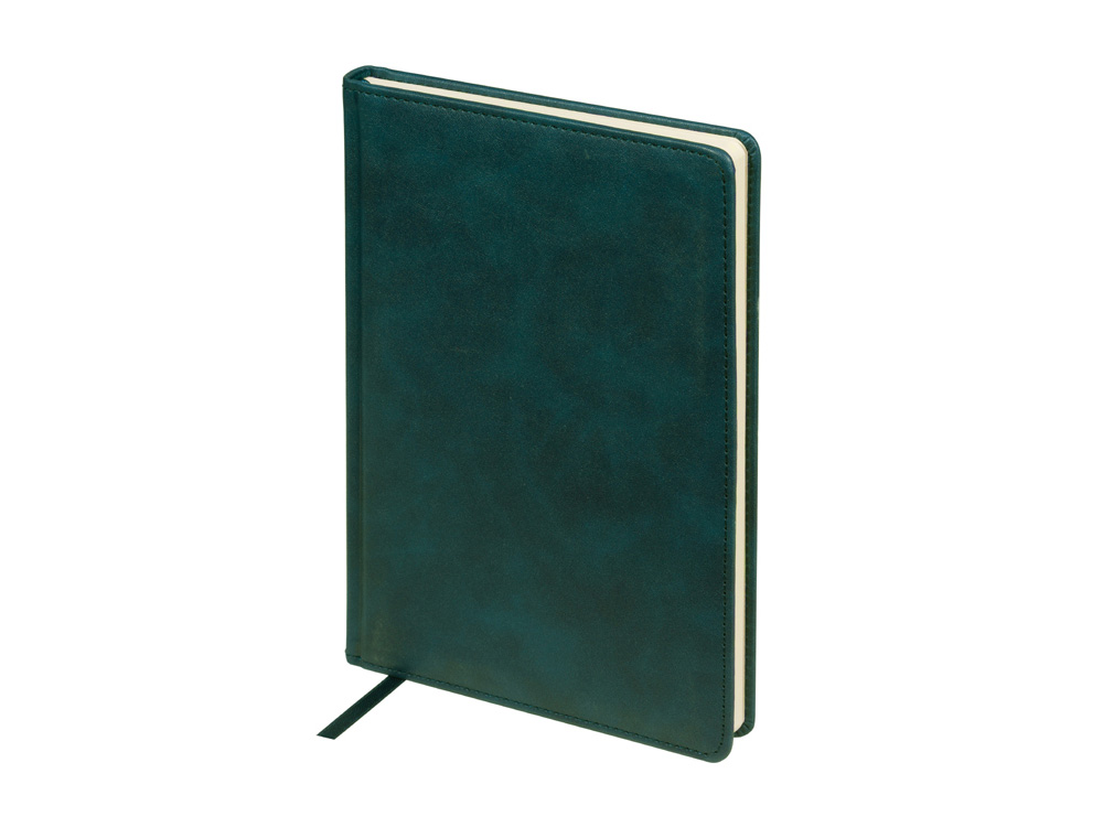 Ежедневник недатированный А5 Classic с логотипом Bruno Visconti | Print Logo