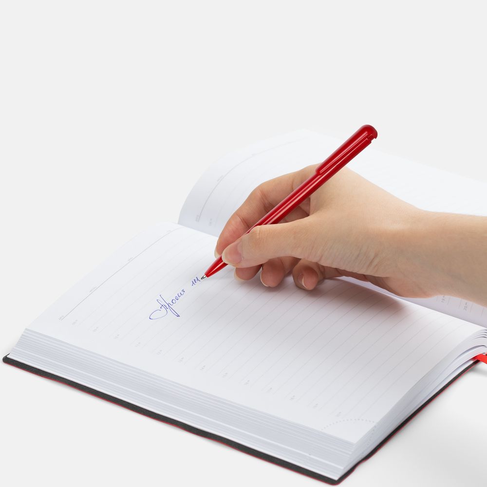 Ручка шариковая Penpal