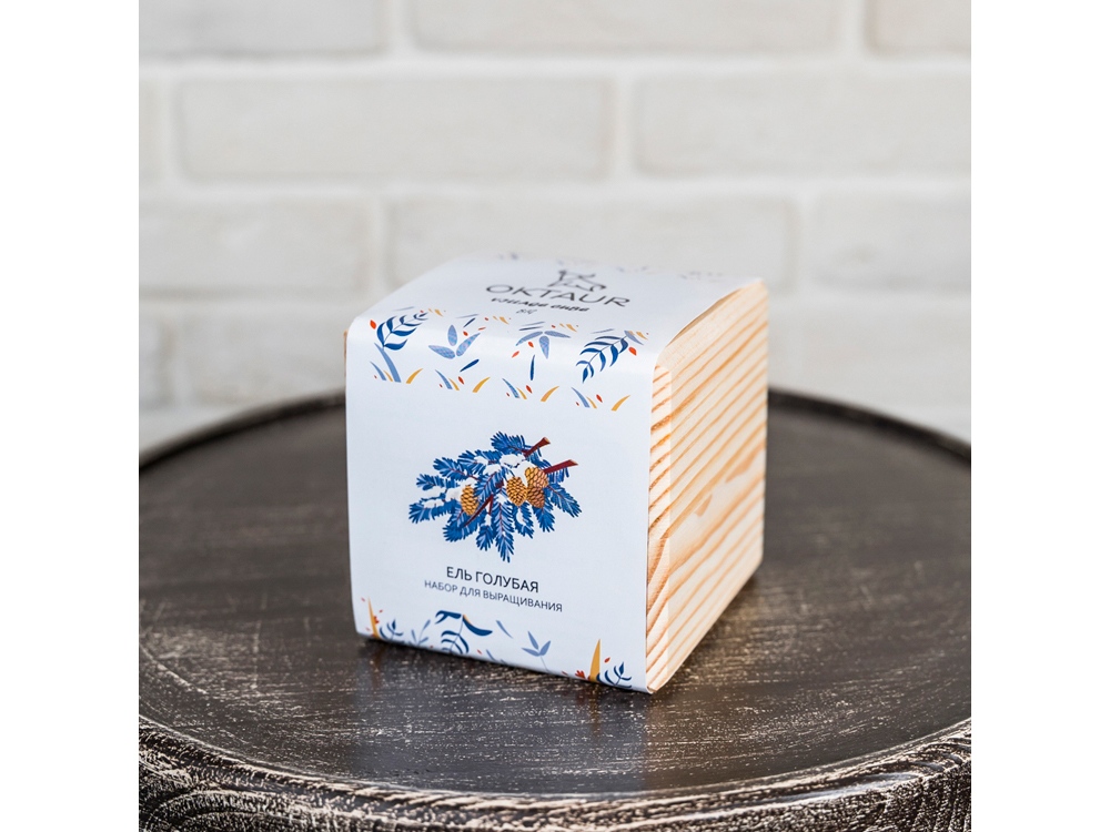 Набор для выращивания Big village cube Ель Голубая
