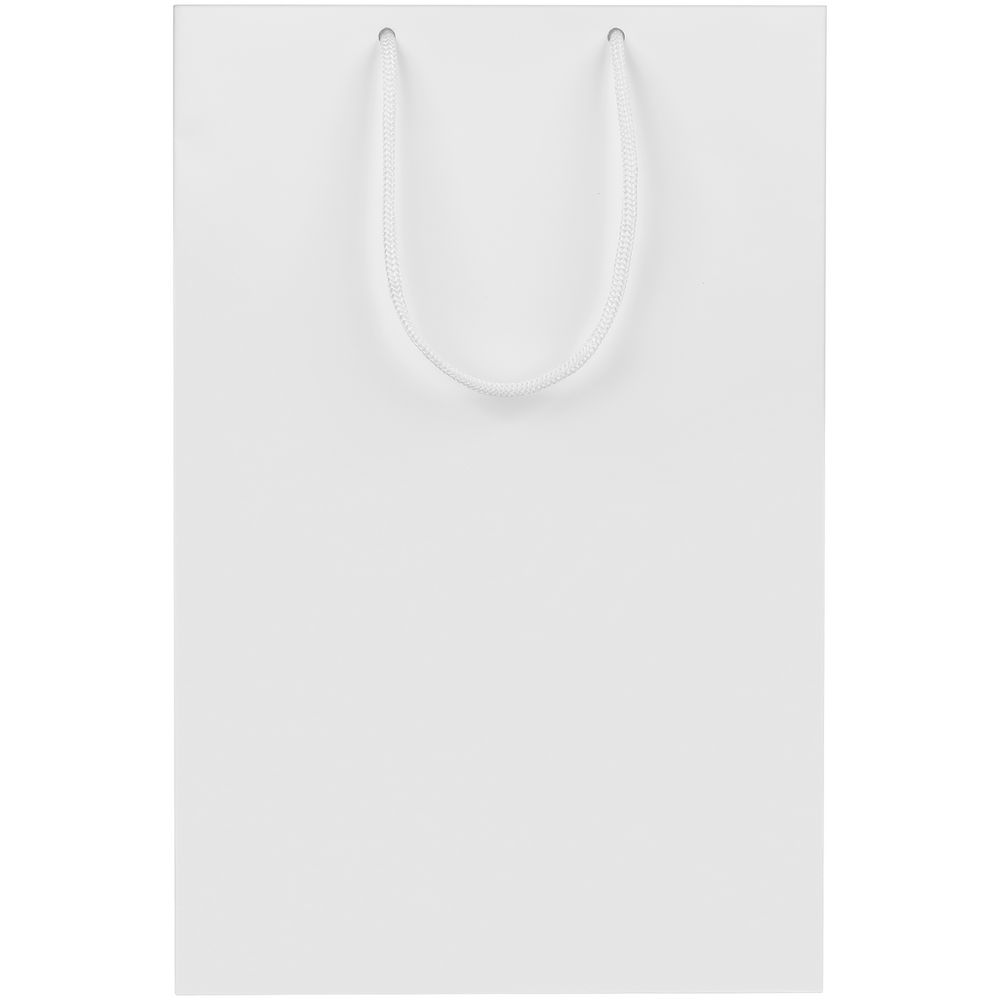 Пакет бумажный Lami L