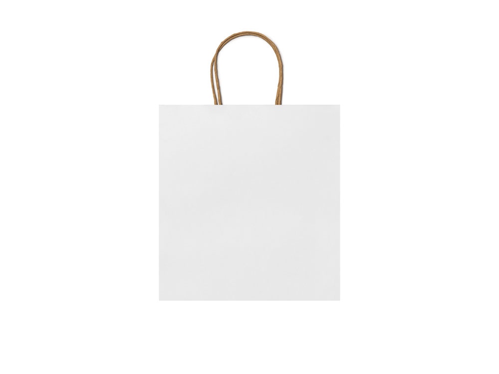 Пакет бумажный HAYA с логотипом  | Print Logo