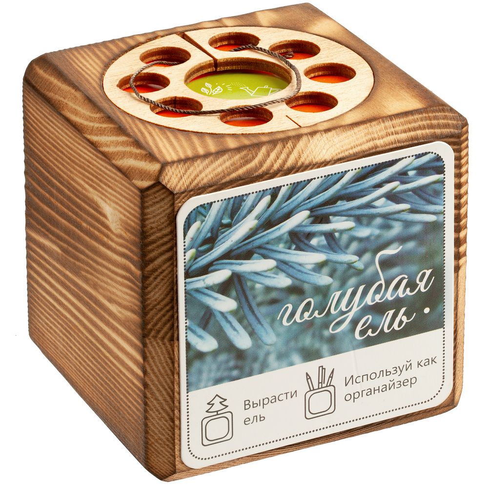 Набор для выращивания с органайзером «Экокуб Burn» с логотипом сделано в России | Print Logo