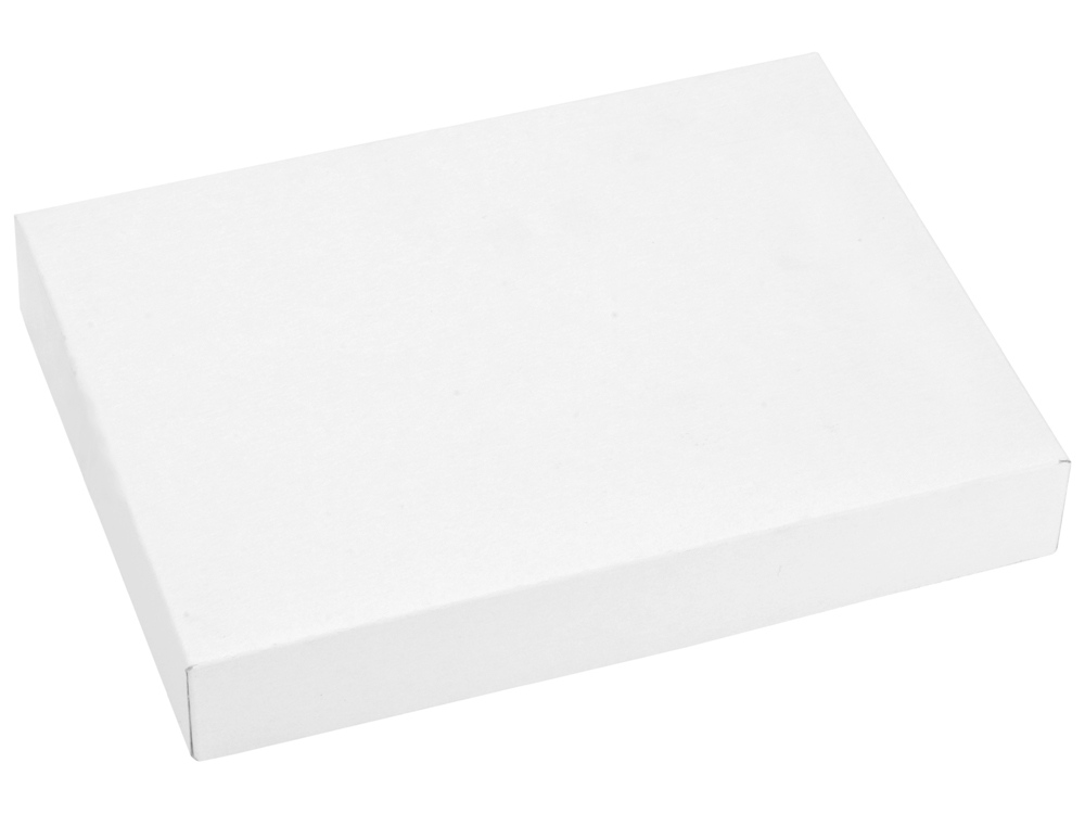 Набор Российский менеджмент: визитница, ручка шариковая, золотистый/серебристый