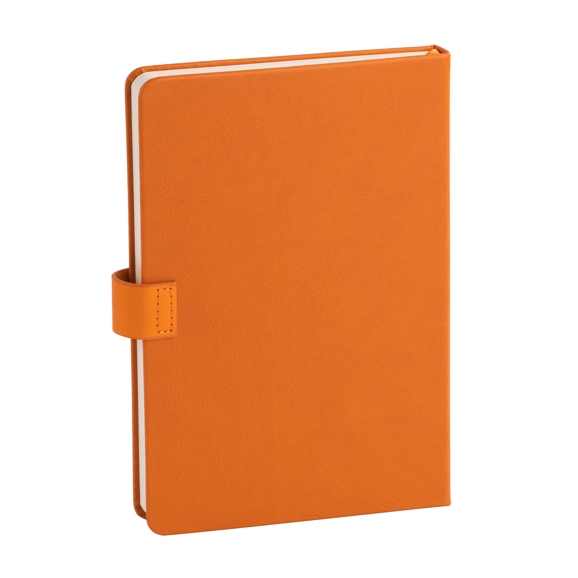 Ежедневник недатированный "Монти", формат А5, бирюзовый