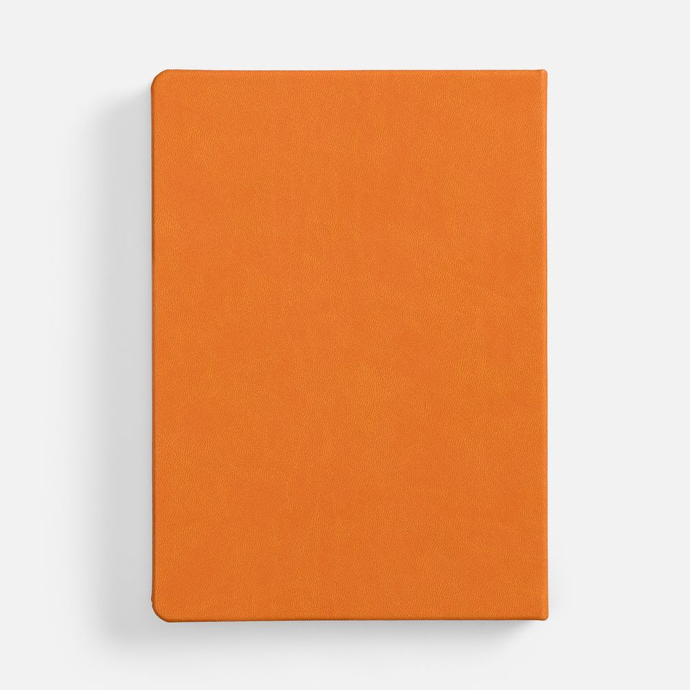 Ежедневник Basis, датированный