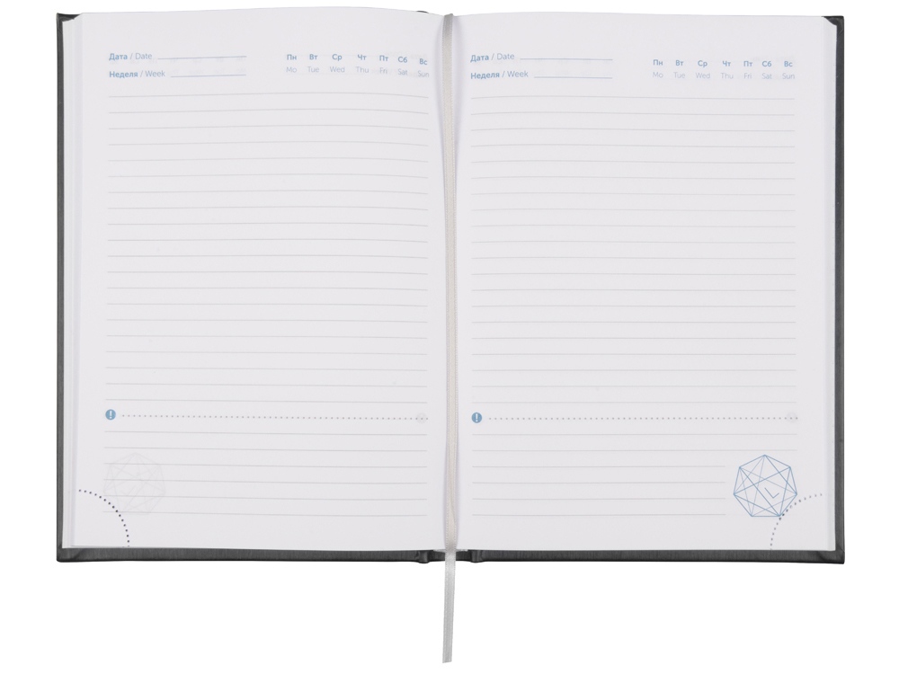 Ежедневник недатированный А5 Probe AR, черный