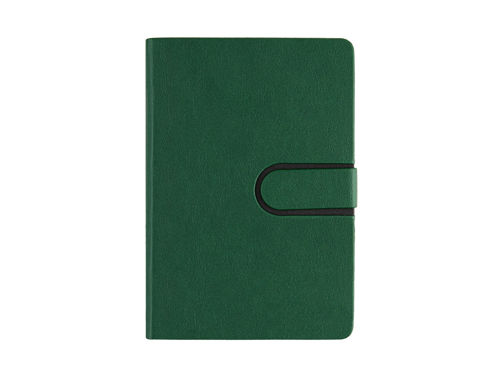 Ежедневник недатированный А5 Status, зеленый