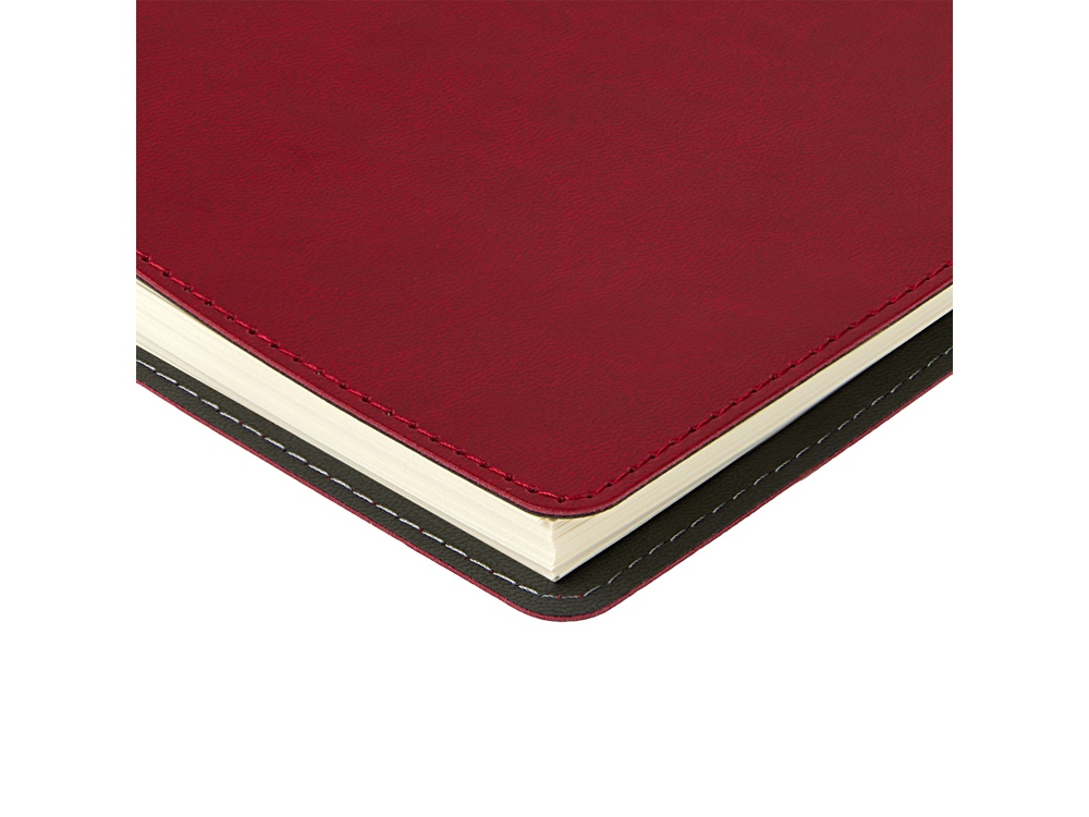 Ежедневник А5 Tintoretto, бордовый