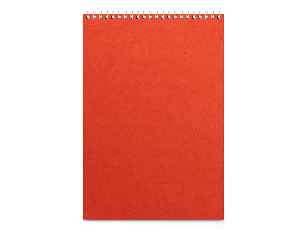 Бизнес - блокнот А4 Office с логотипом Альт | Print Logo