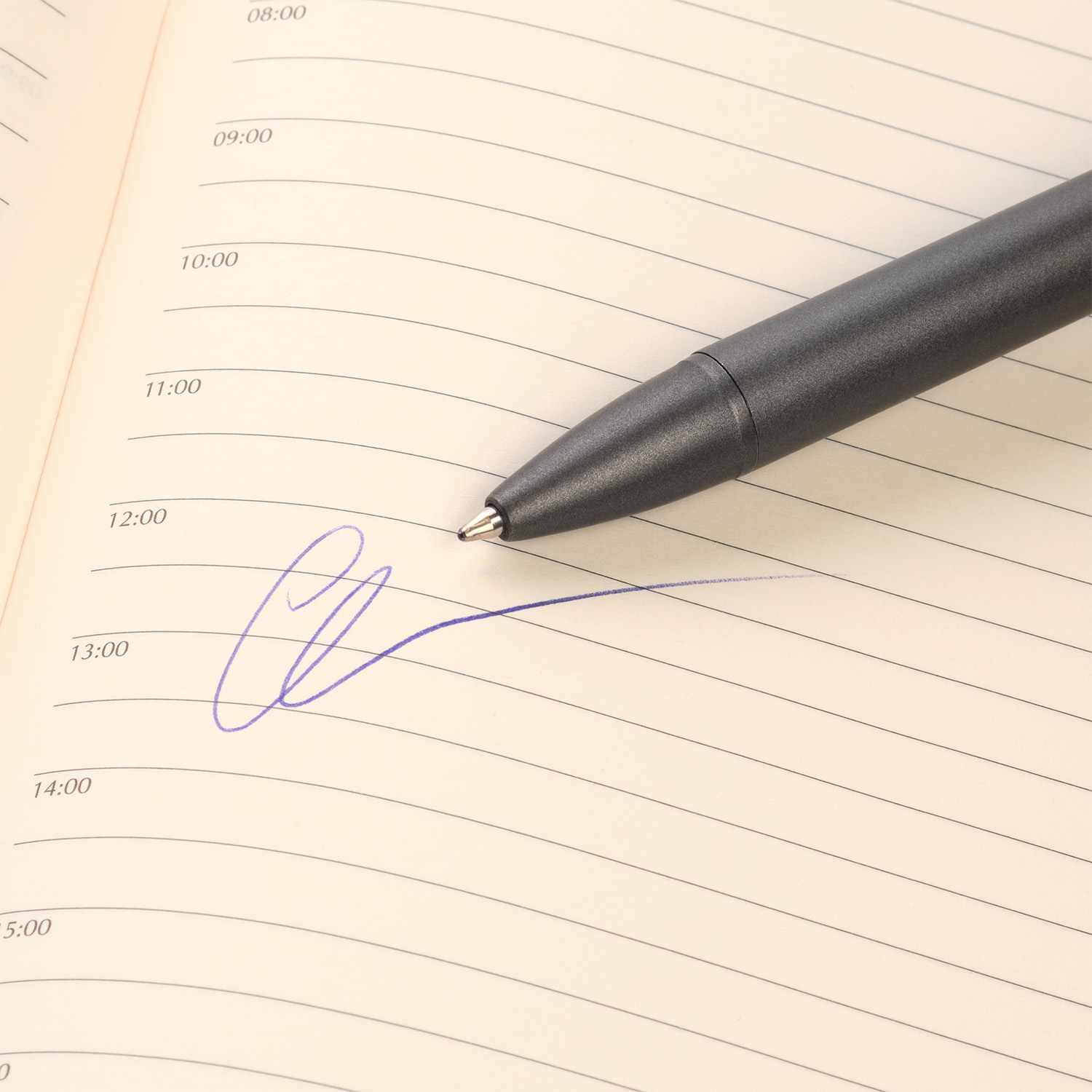 Шариковая ручка АйПи Хамелеон (IP Chameleon), черная фото на сайте Print Logo.