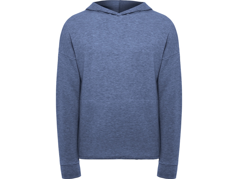 Толстовка с капюшоном Manaslu, унисекс с логотипом Roly | Print Logo