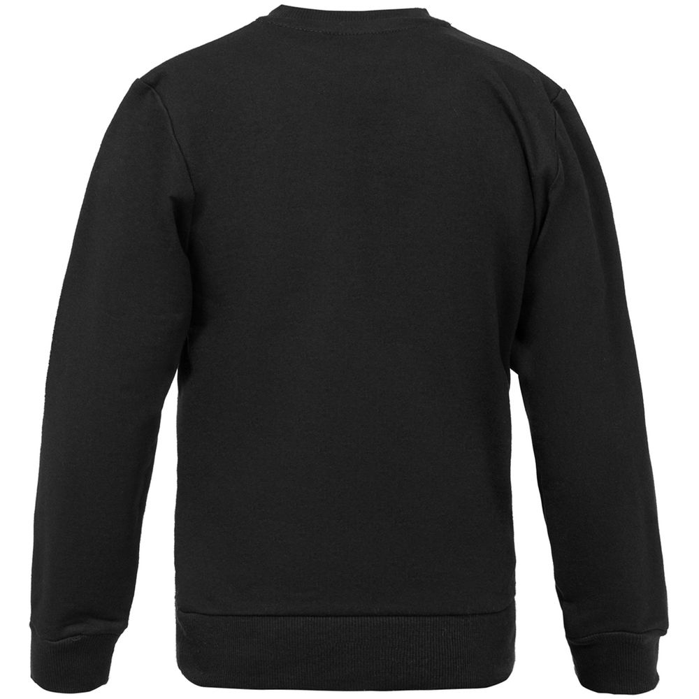 Свитшот детский Like a Lion фото на сайте Print Logo.