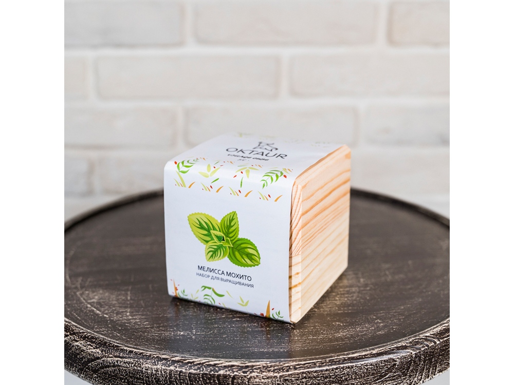 Набор для выращивания Big village cube Мелиса Мохито