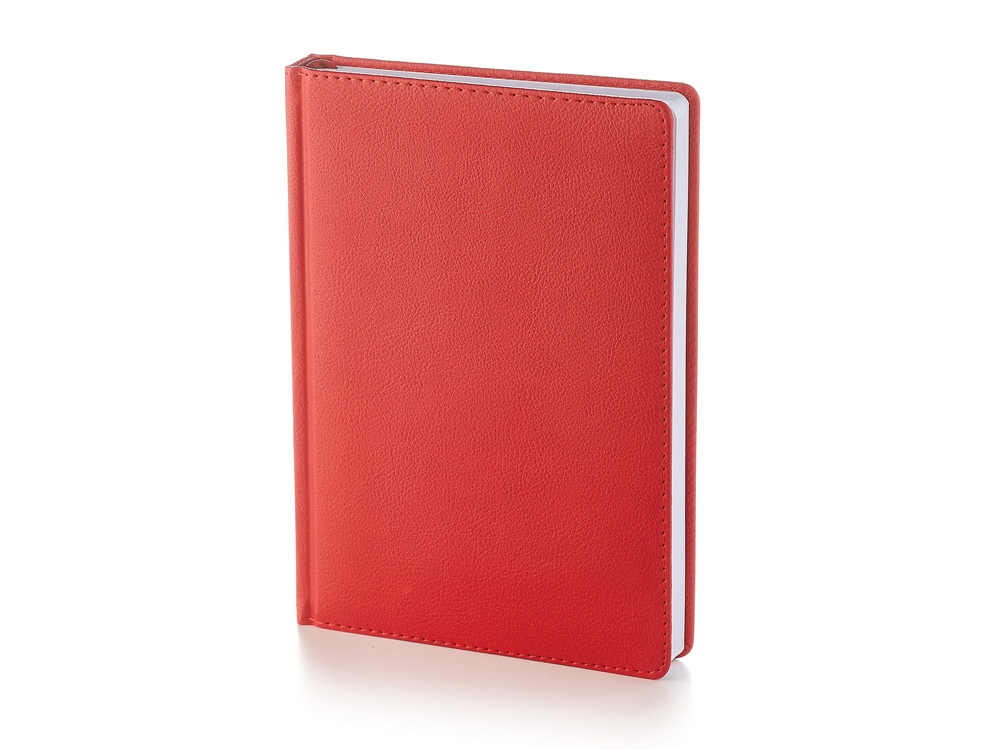 Ежедневник А5 датированный Leader на 2025 год с логотипом Bruno Visconti | Print Logo