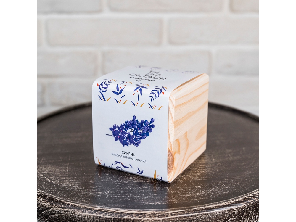 Набор для выращивания Big village cube Сирень