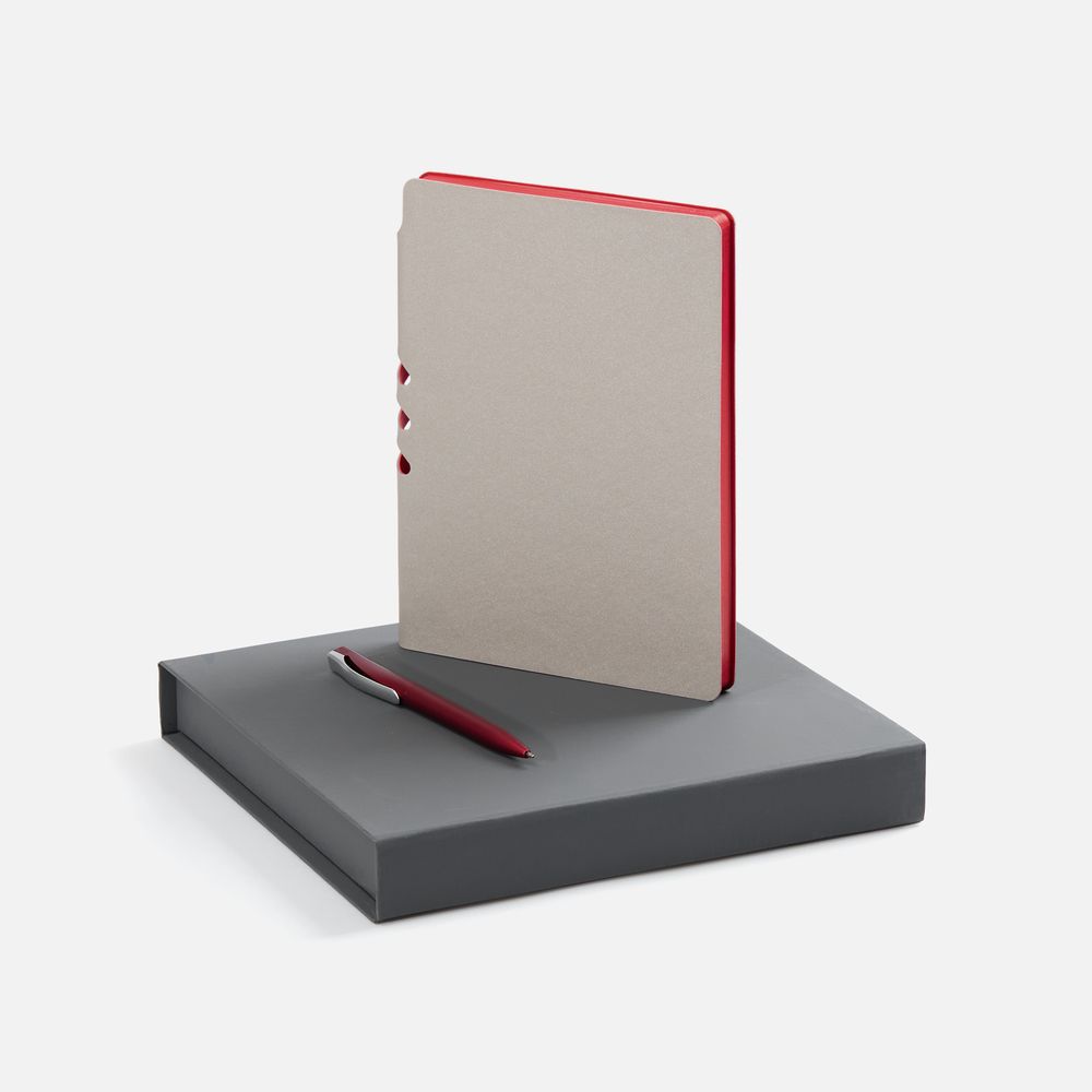 Набор Flexpen Grey с логотипом  | Print Logo