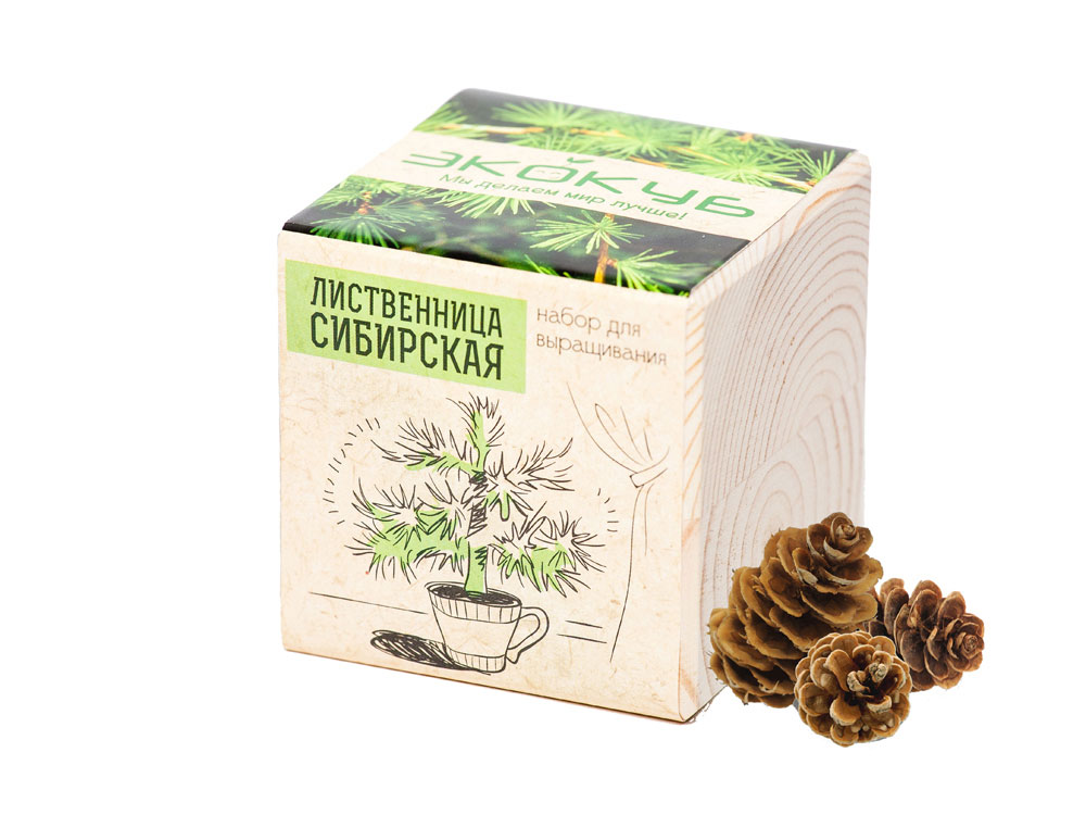 Набор для выращивания Лиственница Сибирская с логотипом  | Print Logo