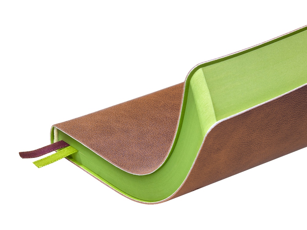 Ежедневник А5 датированный Boston 2027, коричневый с салатовым обрезом