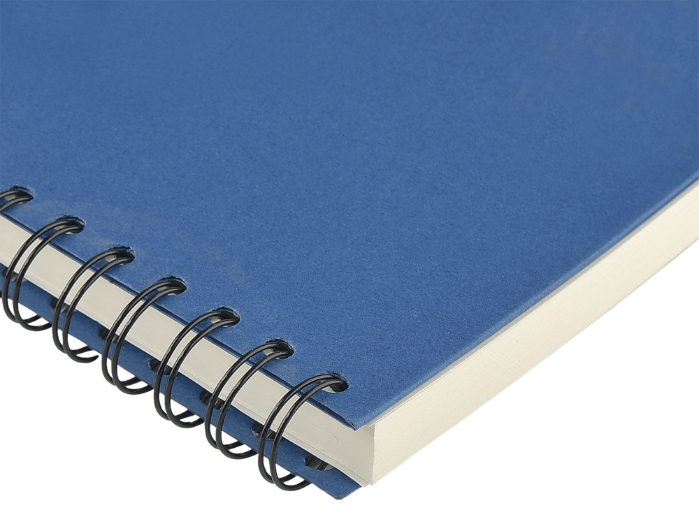 Ежедневник недатированный на гребне А5 Pragmatic, синий (Р)