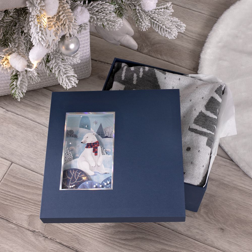 Коробка The Blue Bear — пример нанесения логотипа () | Print Logo