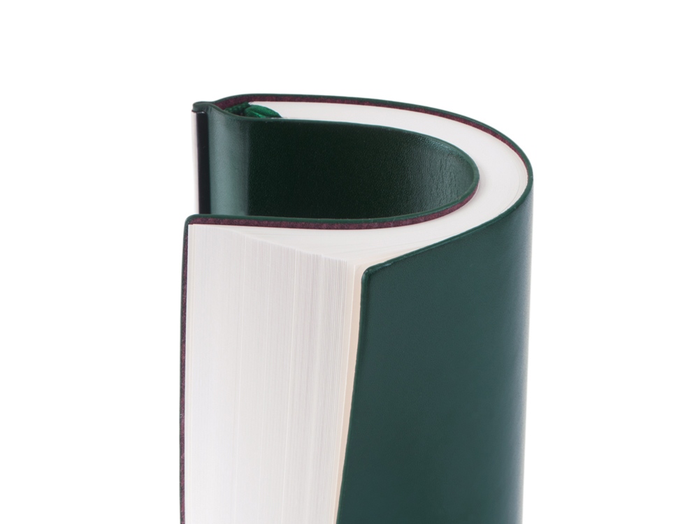 Блокнот А5 Scribe, гибкая обложка, 96 листов 80 гр/м2, зеленый