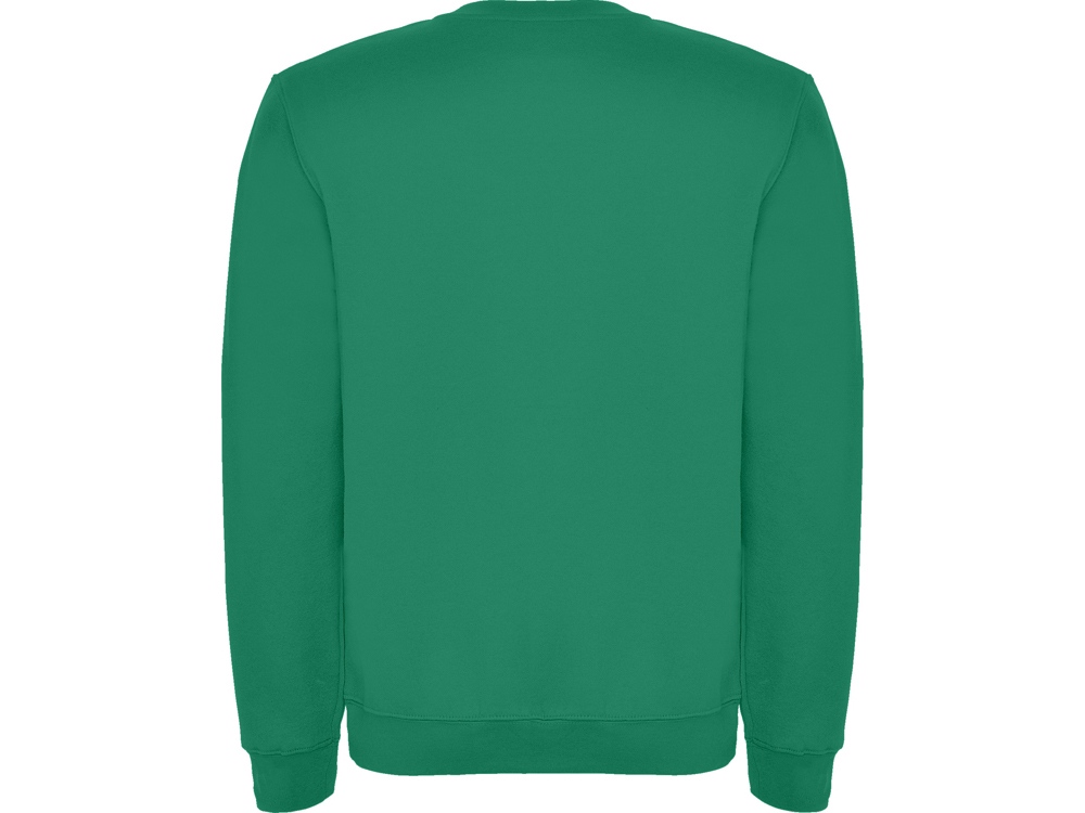 Свитшот с начесом Clasica детский, зеленый