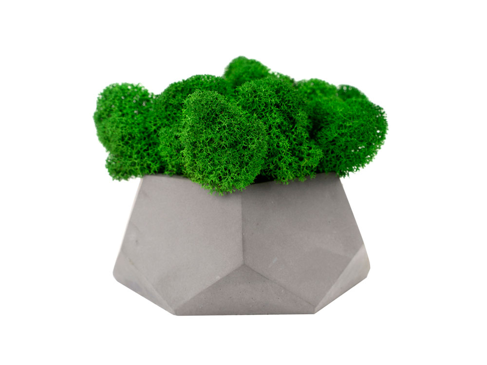 Кашпо бетонное со мхом (альфа-маренго мох зеленый), QRONA