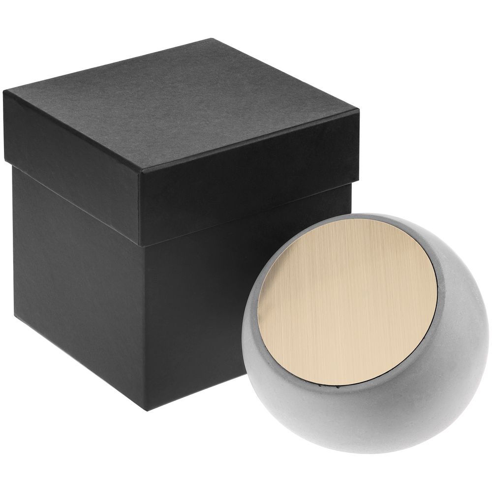 Награда BeTone — пример нанесения логотипа () | Print Logo