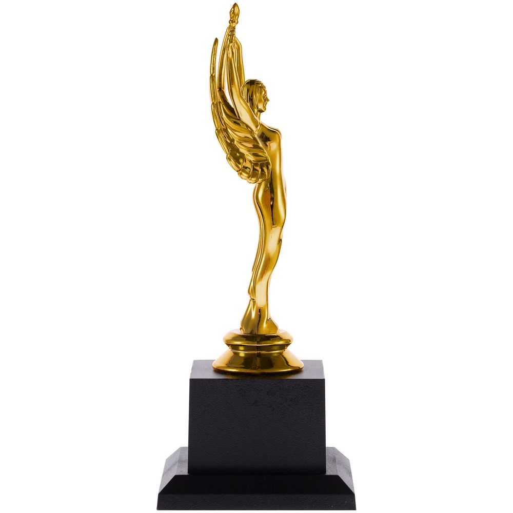 Стела Invictus — пример нанесения логотипа () | Print Logo