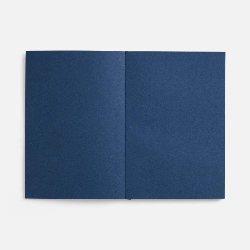 Ежедневник Flat, недатированный, синий