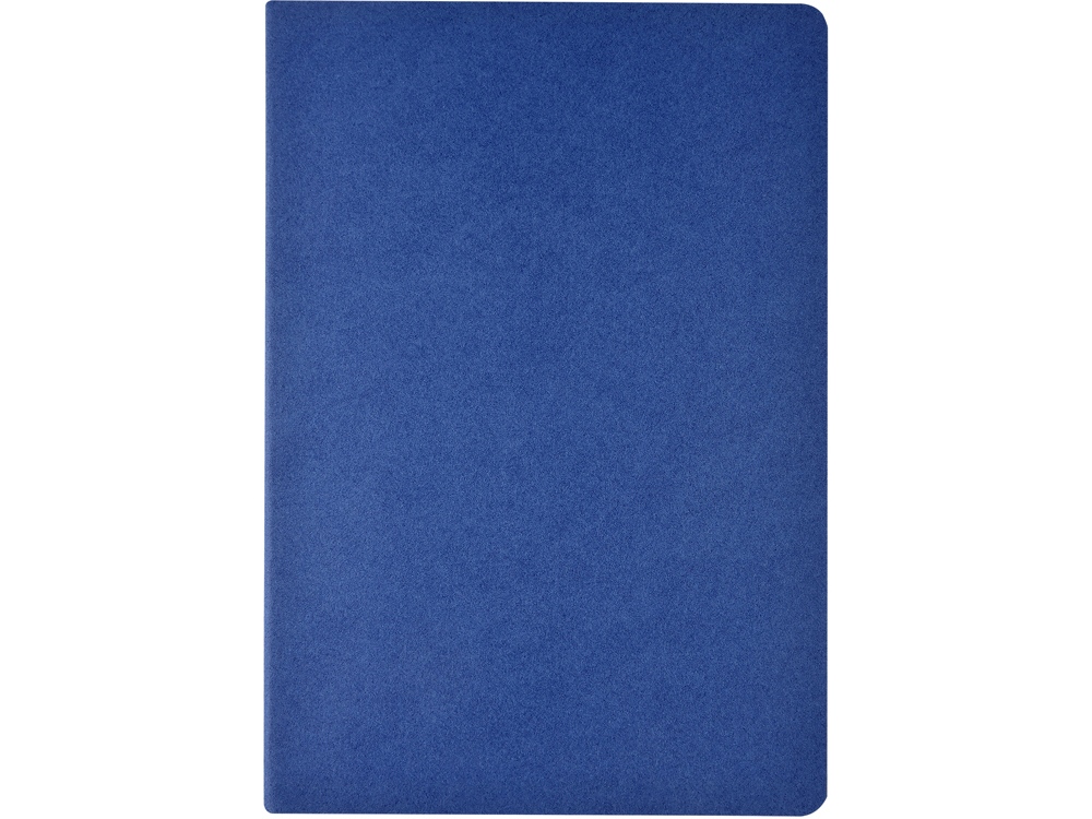 Бизнес-тетрадь А4 Pragmatic,  40л., клетка, синий