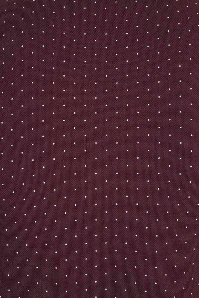 Рубашка поло мужская Brandy Men фото на сайте Print Logo.