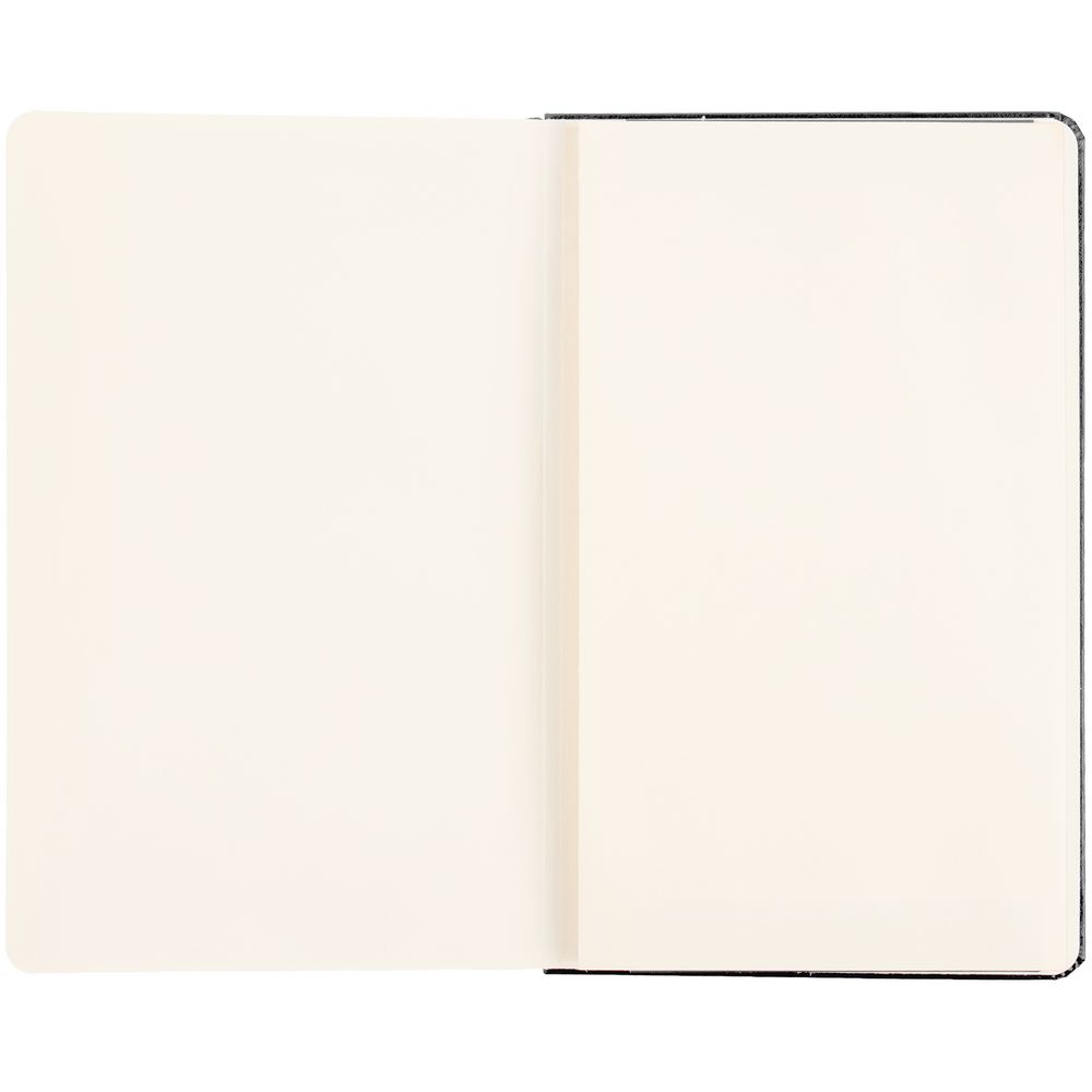 Записная книжка Moleskine Professional Large