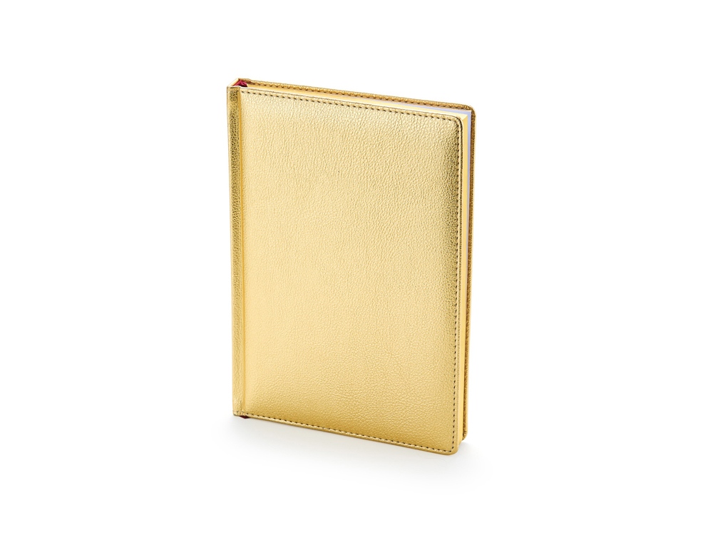 Ежедневник недатированный А5 Sidney Nebraska с золотым срезом с логотипом Bruno Visconti | Print Logo