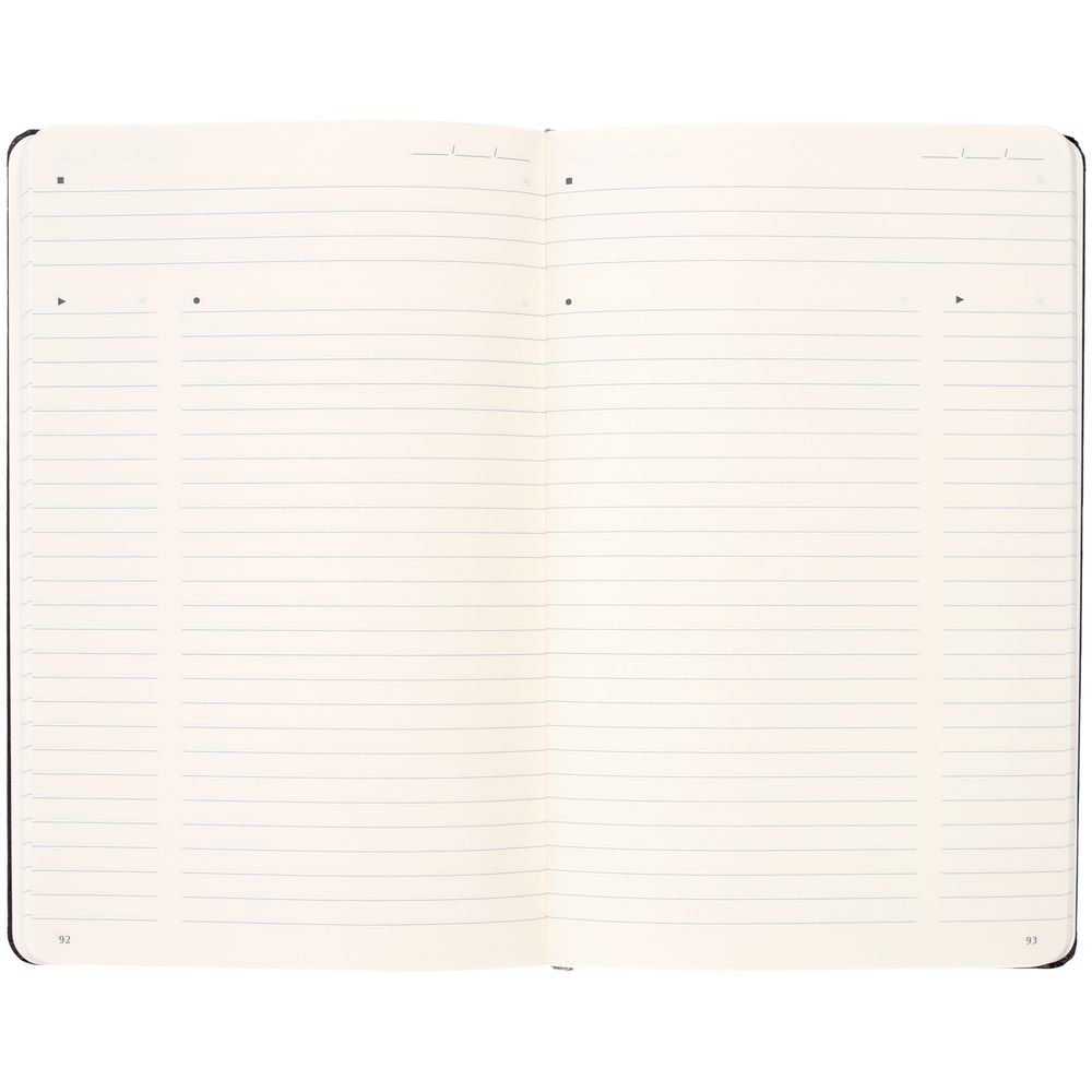 Записная книжка Moleskine Professional Large