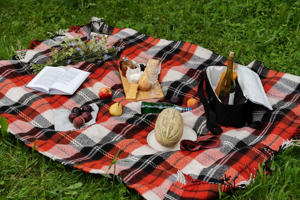 Плед «Эльф»