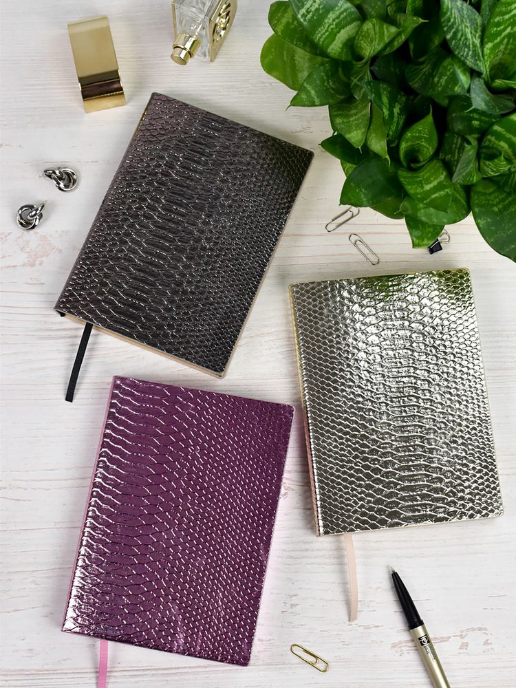 Ежедневник Anaconda, недатированный фото на сайте Print Logo.