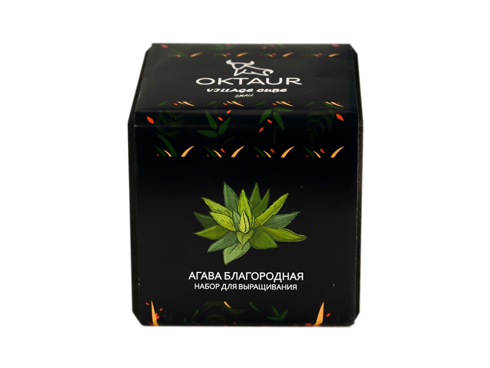 Набор для выращивания Small village cube Агава Благородная