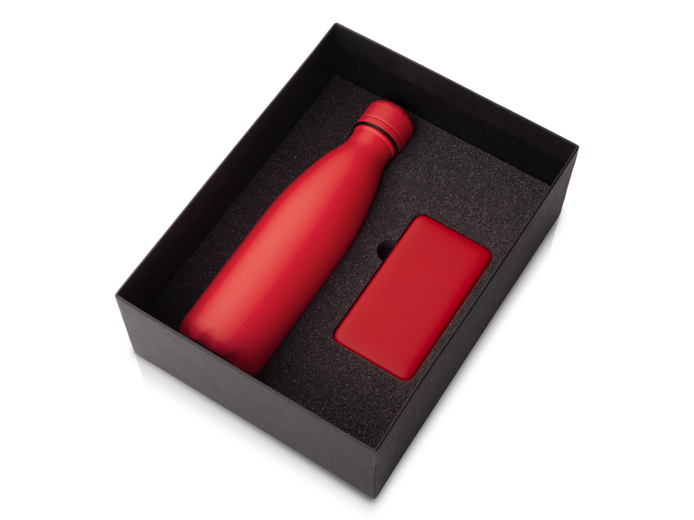 Подарочный набор COLOR IT с термобутылкой и повербанком, 5000 mAh с логотипом  | Print Logo