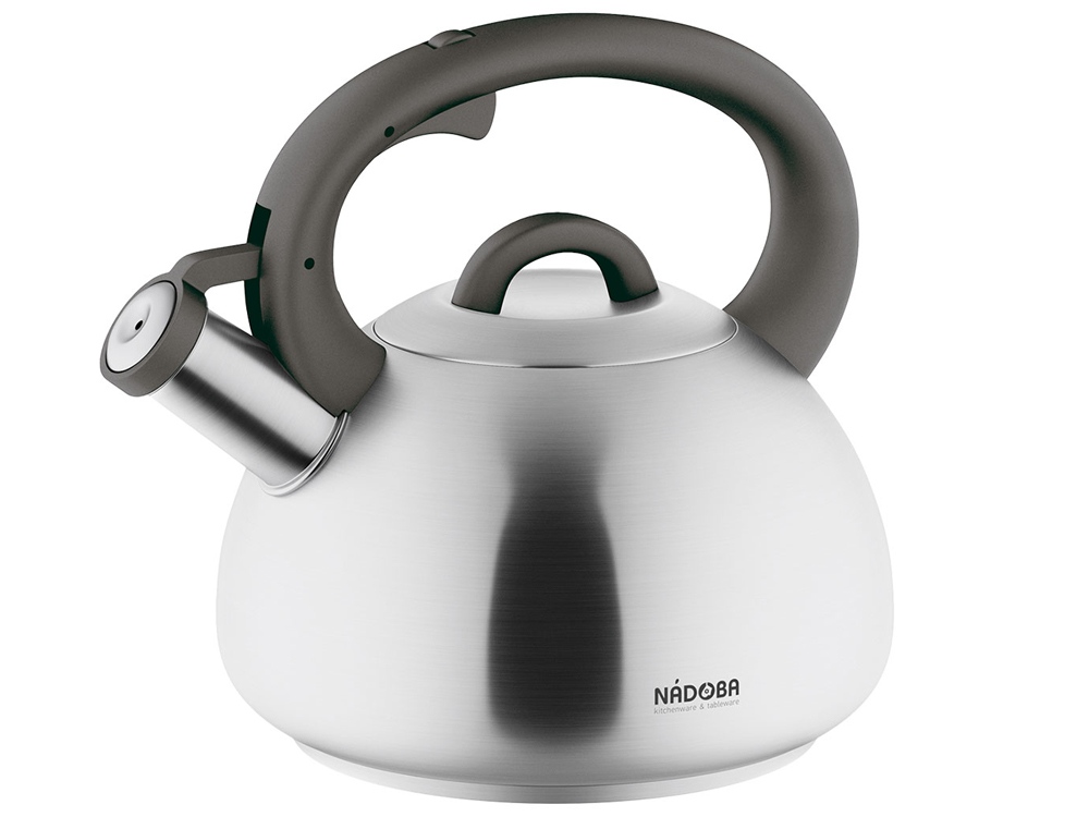 Чайник со свистком MAGDA, 2,8 л фото на сайте Print Logo.