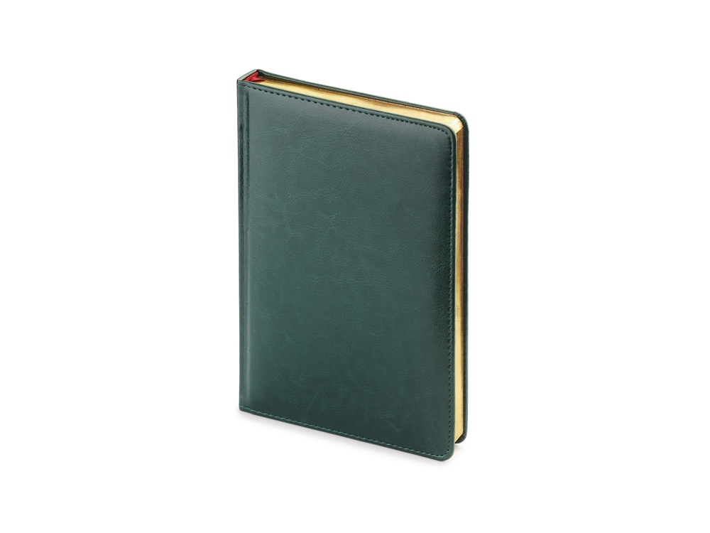 Ежедневник датированный А5 Sidney Nebraska на 2024 год с логотипом Альт | Print Logo